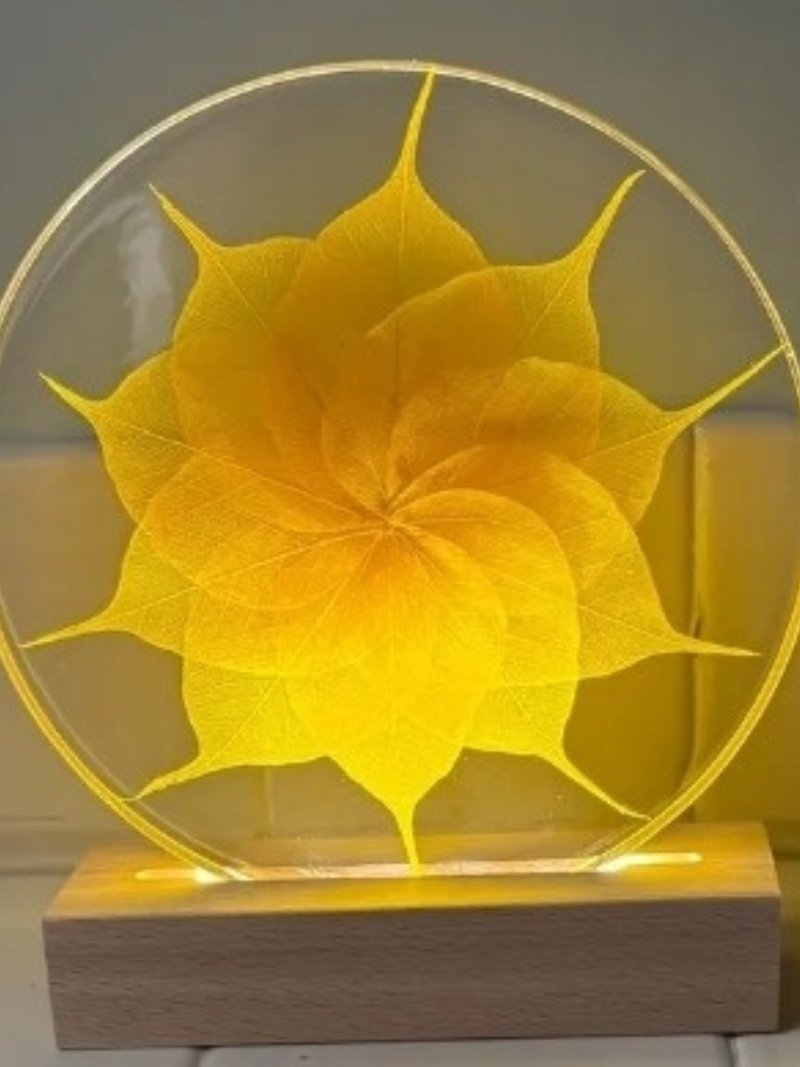 Gallery image 5